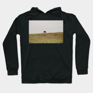 cows grazing a field Hoodie